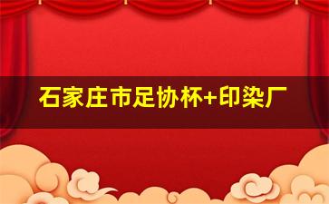 石家庄市足协杯 印染厂